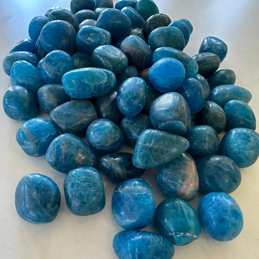 The Evoline Blue Apatite Clarity and Inspired Action Tumbled Stones