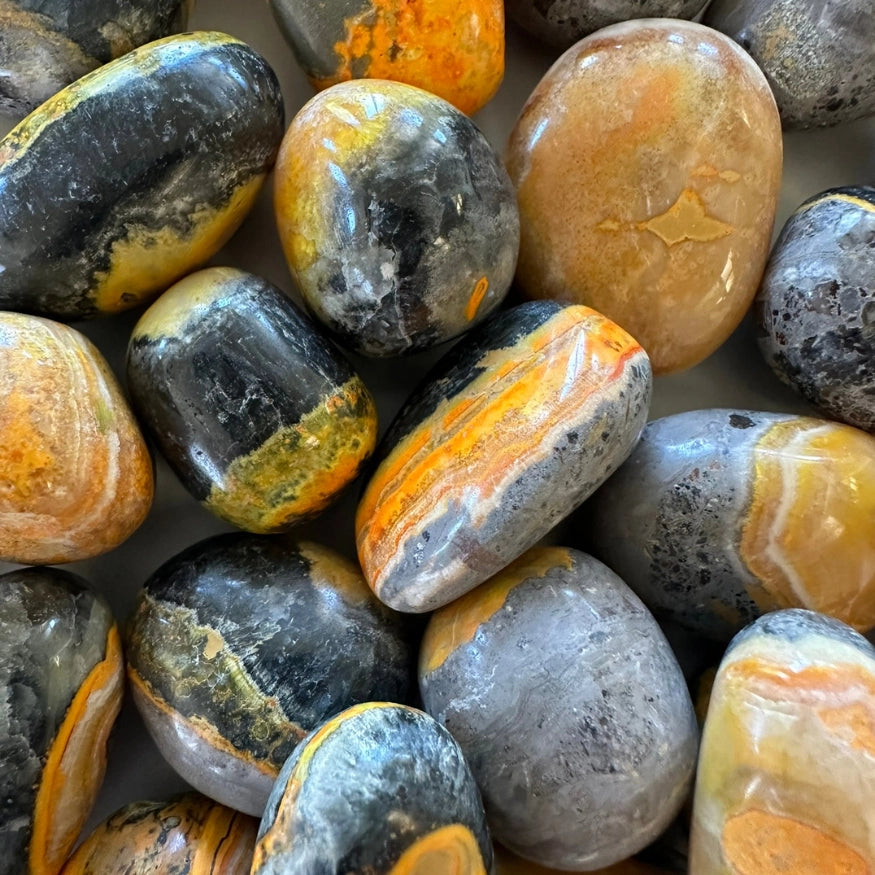 The Evoline Bumblebee Jasper Empowered Transformation Tumbled Stone