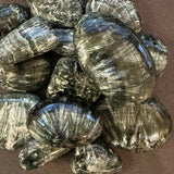 The Evoline Seraphinite Healing and Angelic Connection Tumbled Stone