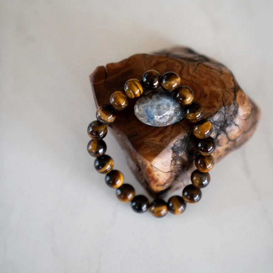 The Evoline Tigers Eye Courage and Clarity Bracelet on natural elements.